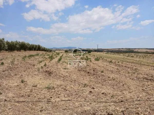 Land Parcel 6275m²  - 2