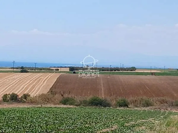 Land Parcel 6275m²  - 5