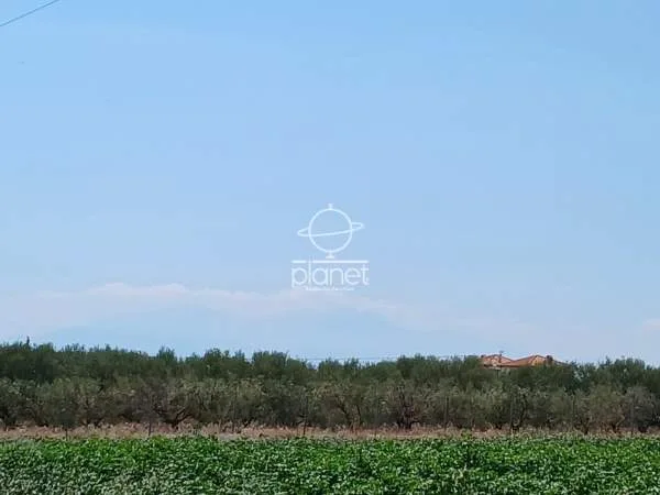 Land Parcel 9675m²  - 2