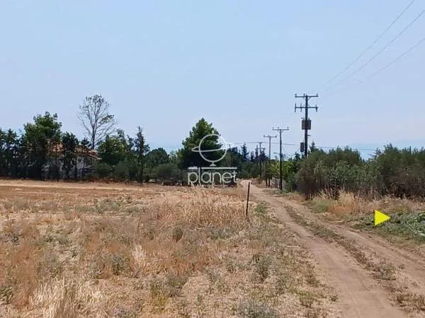 Land Parcel 9675m²  - 3