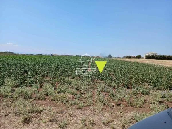 Land Parcel 9675m²  - 4