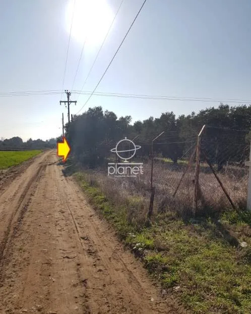 Land Parcel 8900m²  - 2
