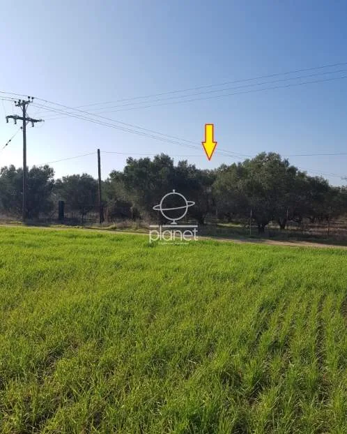 Land Parcel 8900m²  - 4
