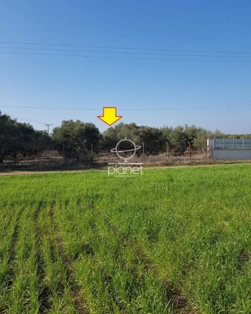 Land Parcel 8900m²  - 5