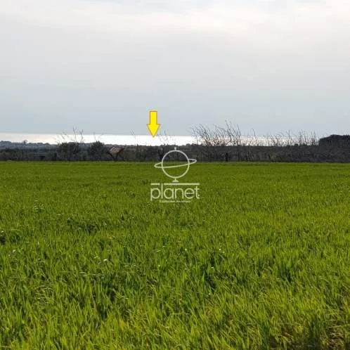 Land Parcel 5200m²  - 2