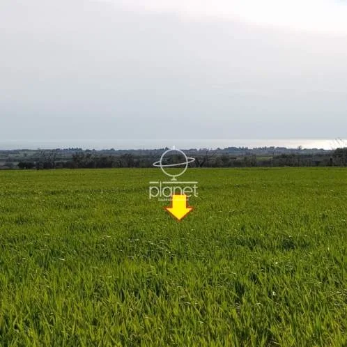 Land Parcel 5200m²  - 3
