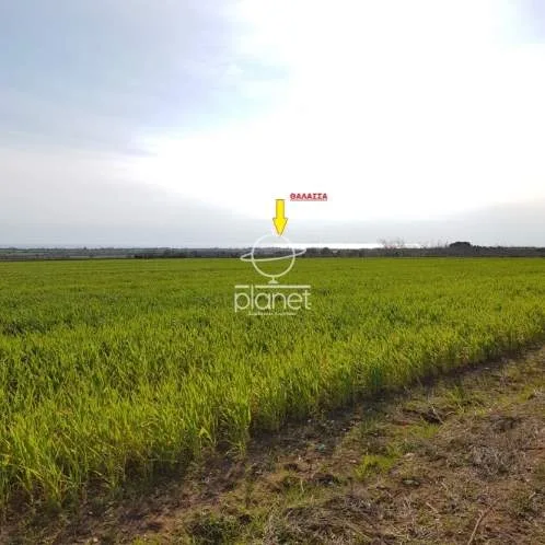 Land Parcel 5200m²  - 4