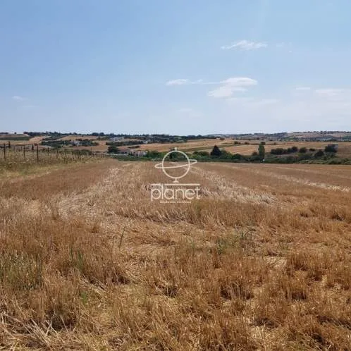 Land Parcel 15500m²  - 2