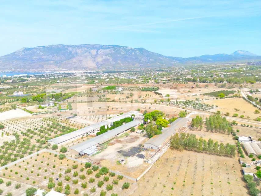 Αυτόνομο κτήριο γραφείων 1280τ.μ.  - 4
