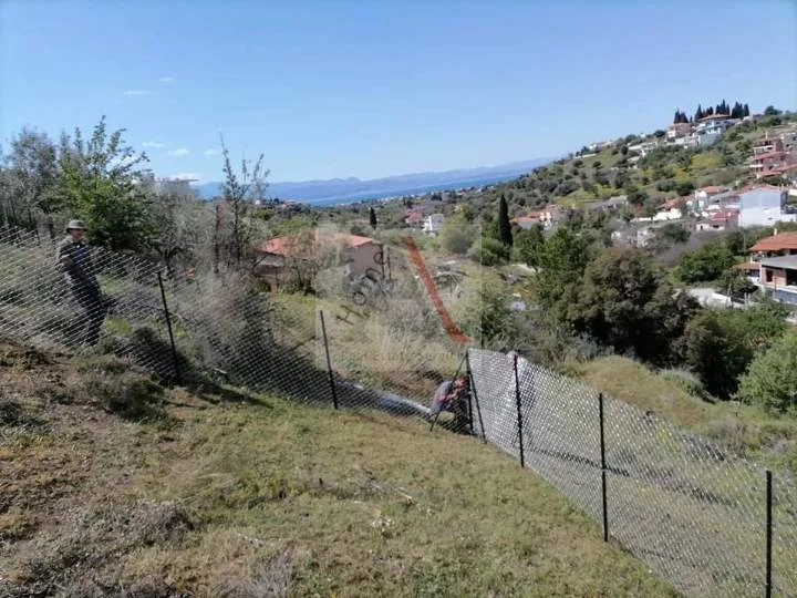 Οικόπεδο 350τ.μ.  - 4