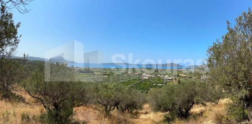 Αγροτεμάχιο 4137τ.μ.  - 2