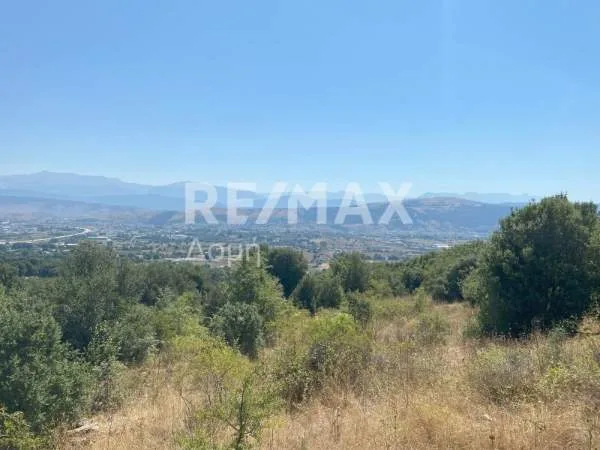 Land Parcel 6517m²  - 3