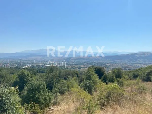 Land Parcel 6517m²  - 5