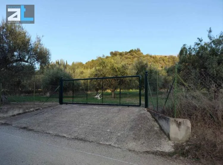 Αγροτεμάχιο 3380τ.μ.  - 2