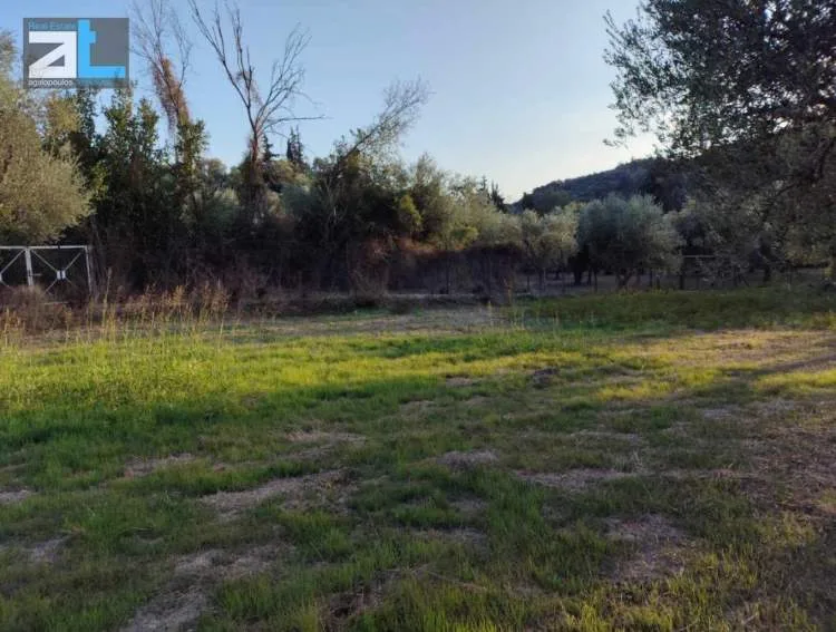 Αγροτεμάχιο 3380τ.μ.  - 4