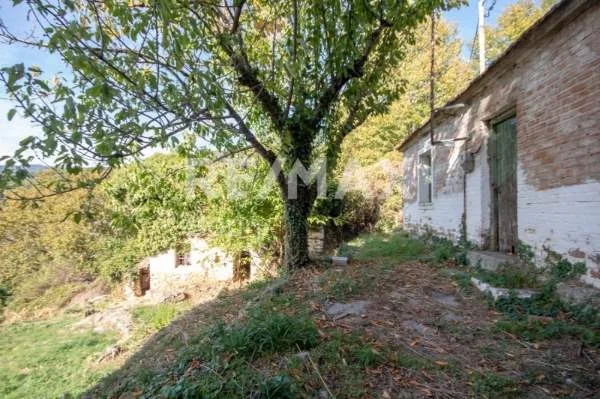 Μονοκατοικία 40τ.μ.  - 3
