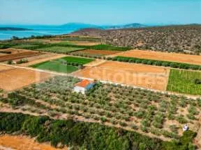 Μονοκατοικία 200τ.μ.  - 4