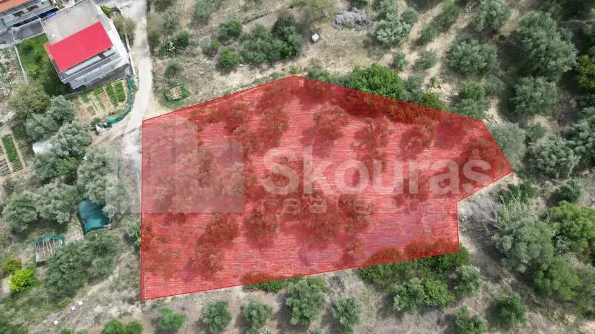 Plot 2000m²  - 3