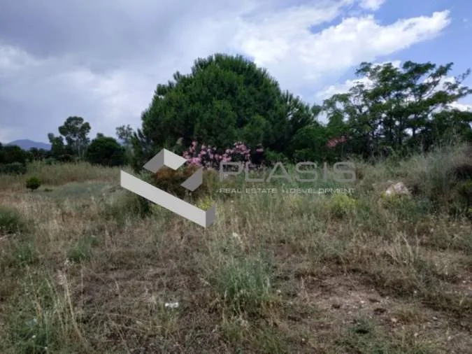 Άλλο.. Έκταση 75000τ.μ.  - 3