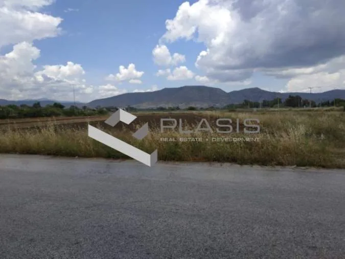 Άλλο.. Έκταση 75000τ.μ.  - 4