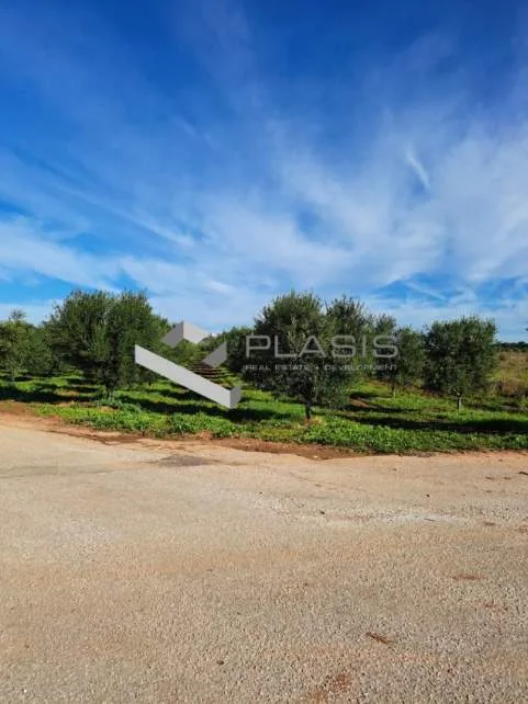 Αγροτεμάχιο 18000τ.μ.  - 3