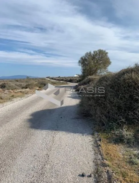 Αγροτεμάχιο 12500τ.μ.  - 5