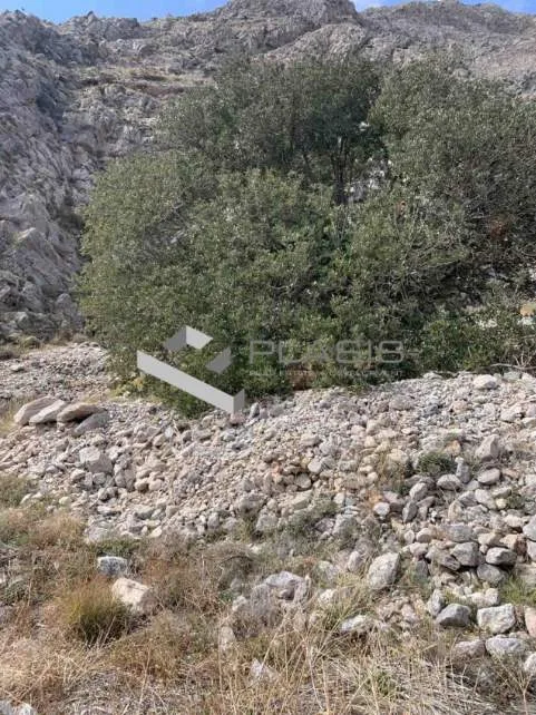Αγροτεμάχιο 4052τ.μ.  - 5