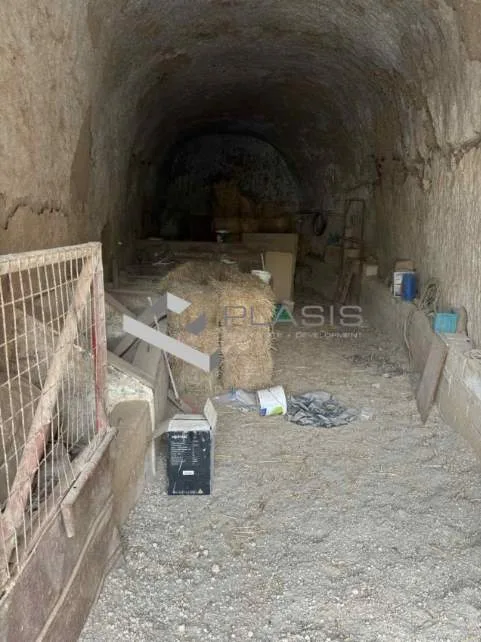 Αγροτεμάχιο 5876τ.μ.  - 2