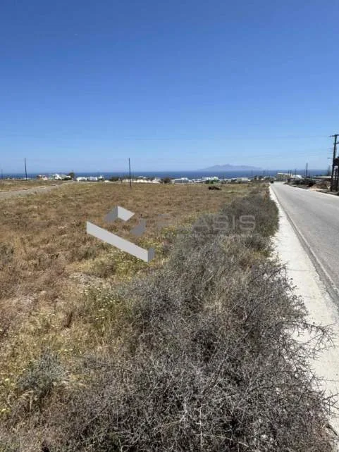 Αγροτεμάχιο 8004τ.μ.  - 3