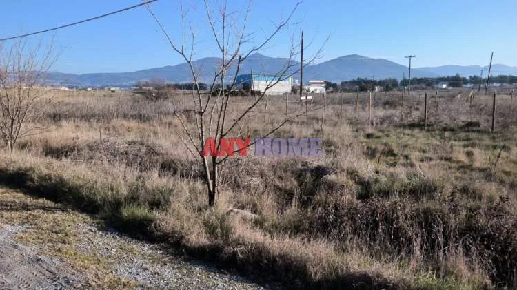 Αγροτεμάχιο 300τ.μ.  - 3