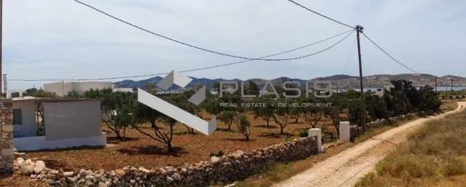 Αγροτεμάχιο 6000τ.μ.  - 2