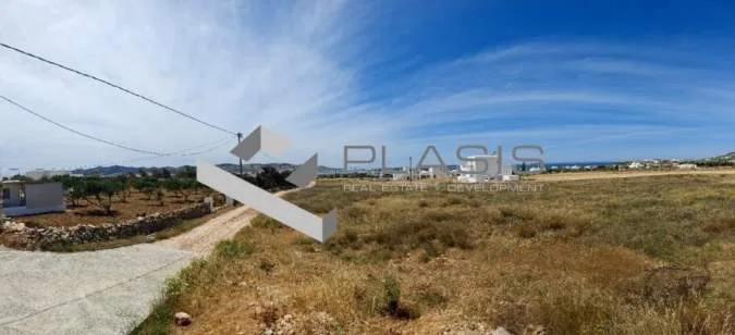 Αγροτεμάχιο 6000τ.μ.  - 3