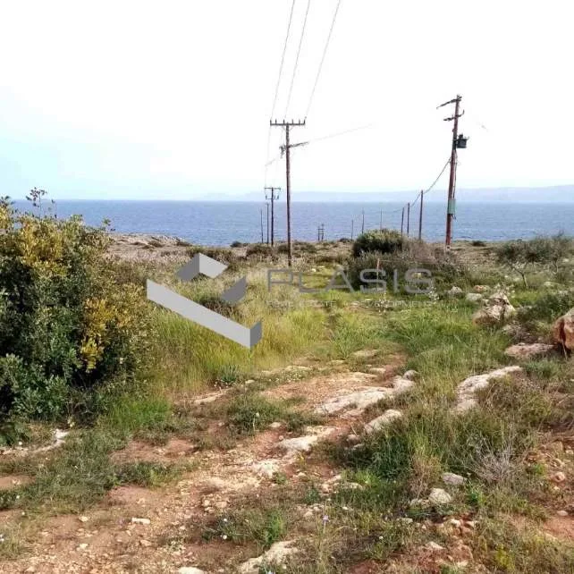 Οικόπεδο 15000τ.μ.  - 2
