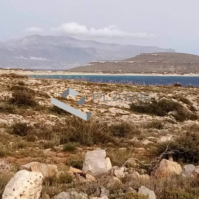 Οικόπεδο 15000τ.μ.  - 3