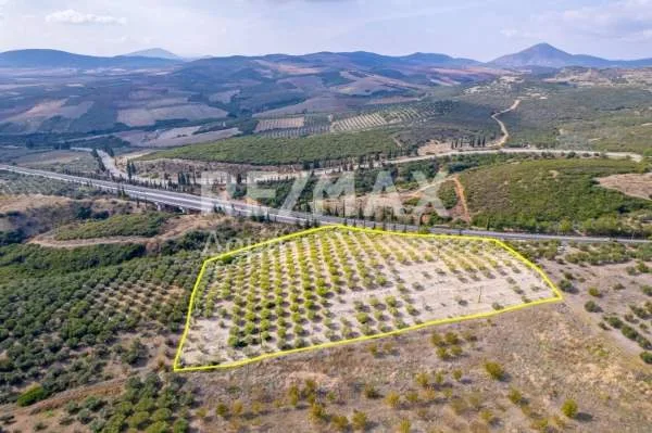 Αγροτεμάχιο 18425τ.μ.  - 4