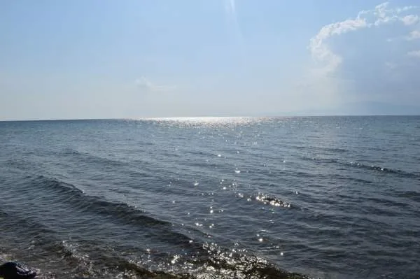 Αγροτεμάχιο 8350τ.μ.  - 3