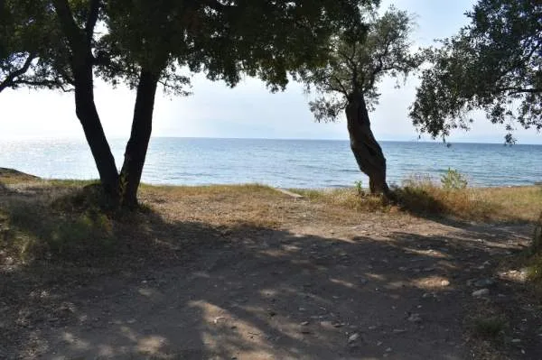 Αγροτεμάχιο 8350τ.μ.  - 4