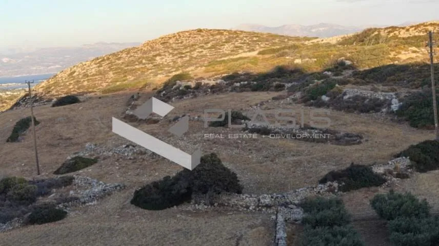 Αγροτεμάχιο 8500τ.μ.  - 3