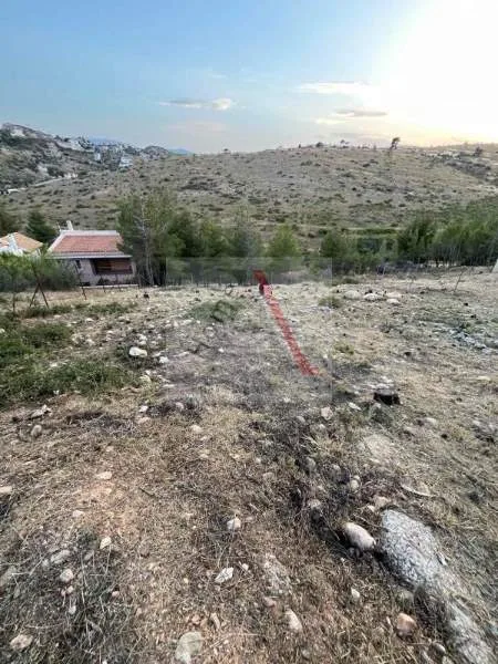 Άλλο.. 504τ.μ.  - 2