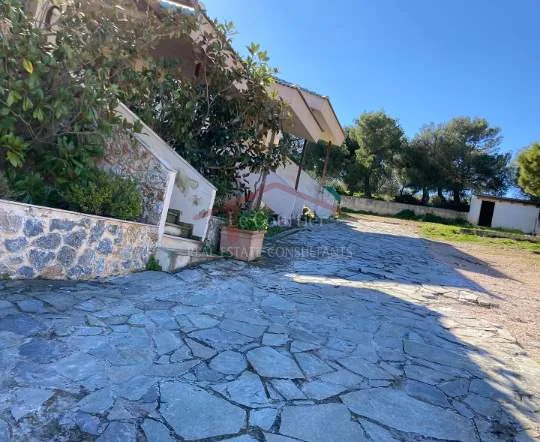 Standalone residential building 492m²  - 5
