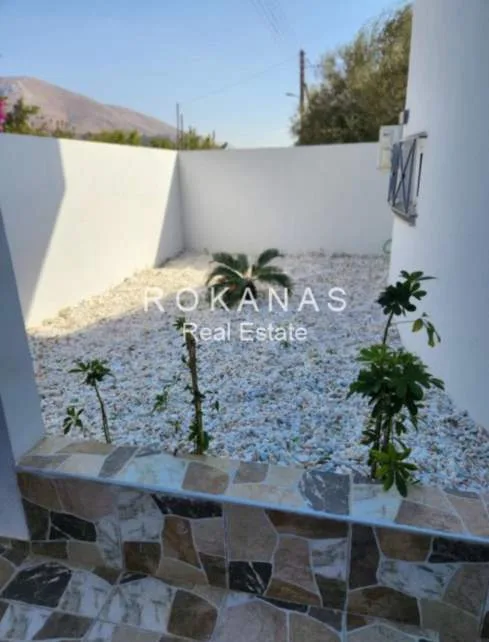 Μεζονέτα 239τ.μ.  - 3