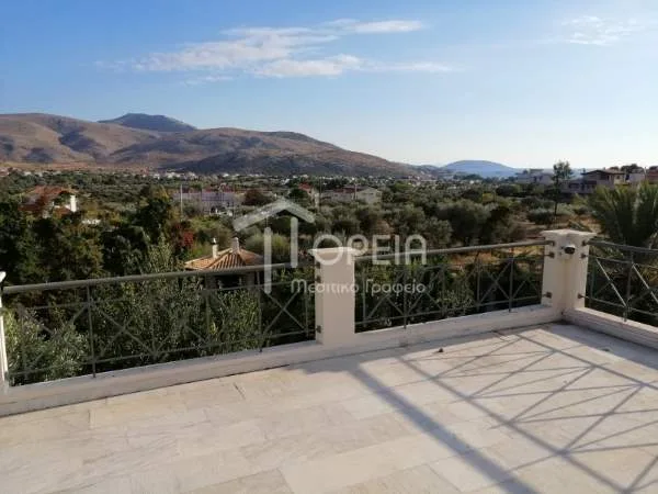 Detached house 320m²  - 3