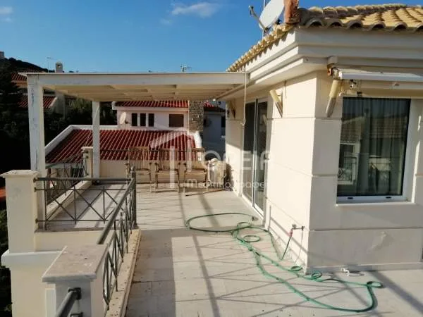 Detached house 320m²  - 5