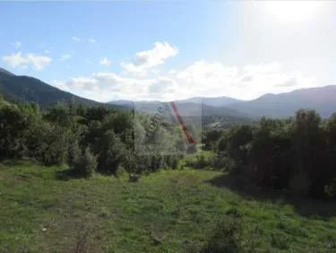 Αγροτεμάχιο 8700τ.μ.  - 2