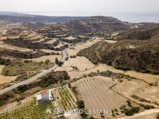 Αγροτεμάχιο 8362τ.μ.  - 2