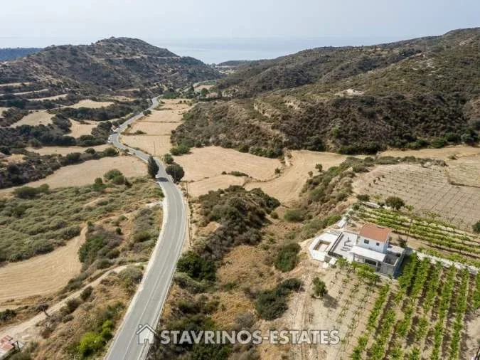 Αγροτεμάχιο 8362τ.μ.  - 3