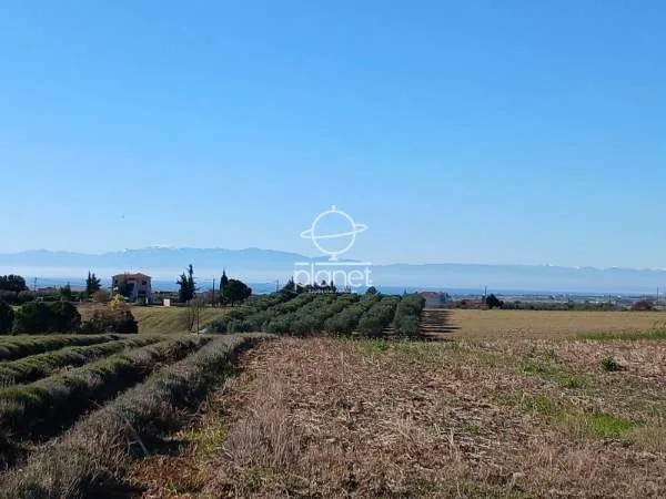 Land Parcel 13600m²  - 2