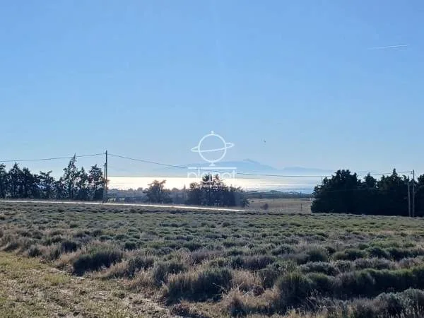 Land Parcel 13600m²  - 3