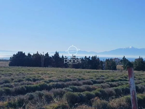 Land Parcel 13600m²  - 5