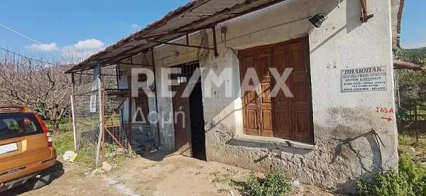 Warehouse 200m²  - 3